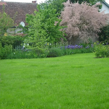 Les Bords De Loire Apartment Veuves Room photo