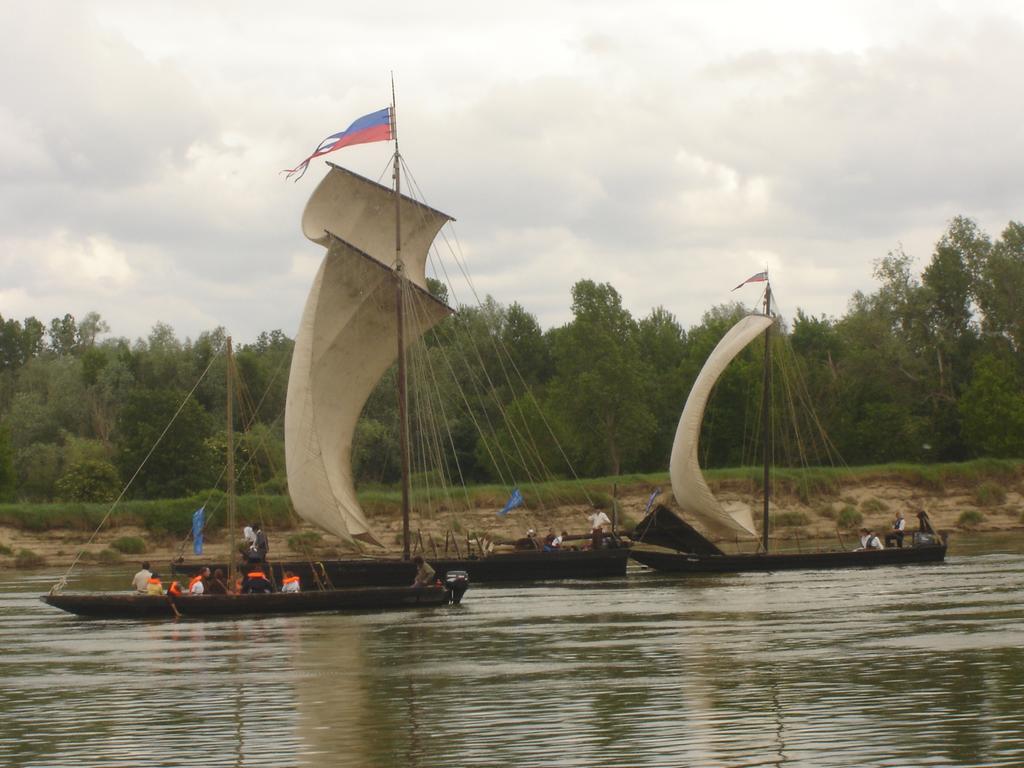 Les Bords De Loire Appartement Veuves