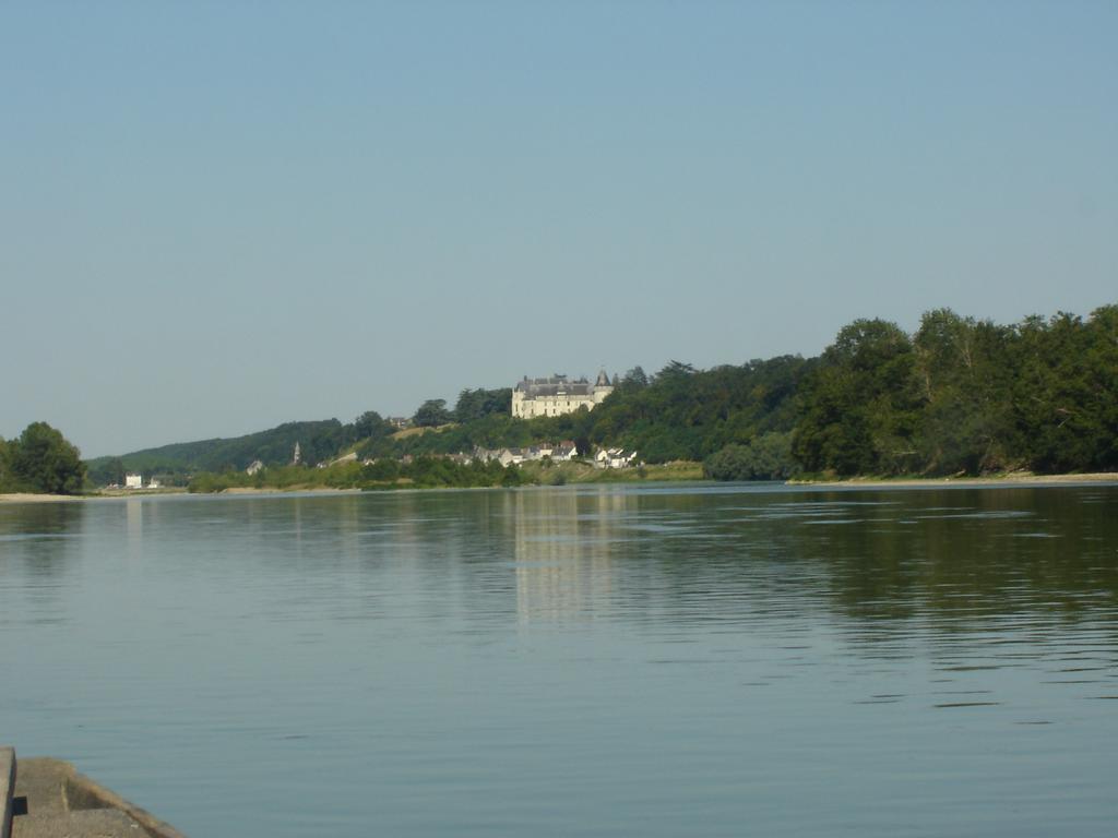 Les Bords De Loire * Veuves