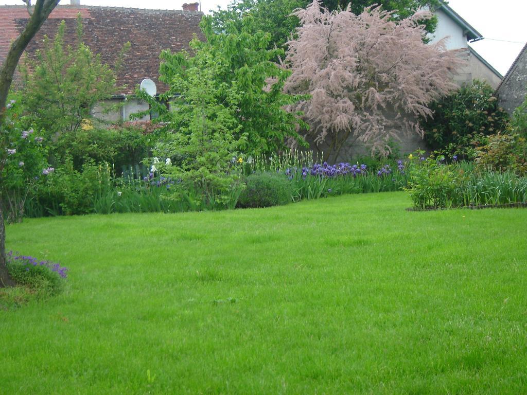 Les Bords De Loire Apartment *